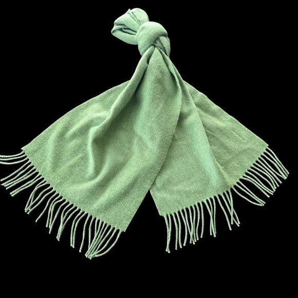 NWT Aran Sweater Market Ireland 100% Extra Fine Merino Wool Scarf Green Fringe - Picture 1 of 5